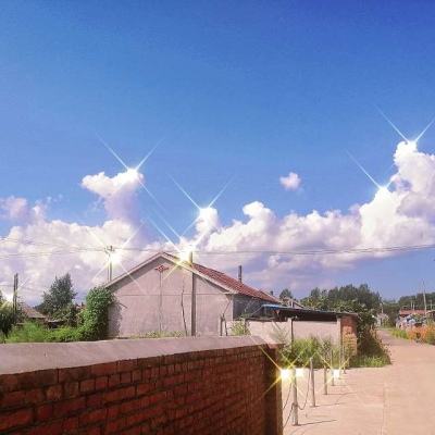 紧急救护车司机